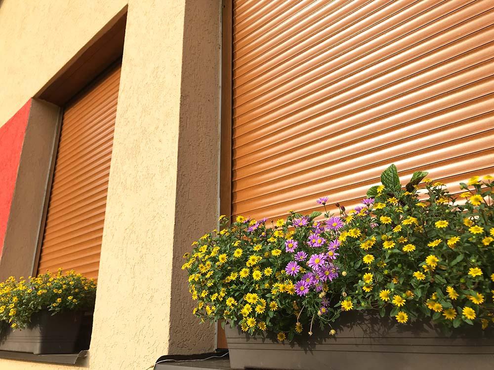 Venkovní rolety stažené s kytkami na parapetu